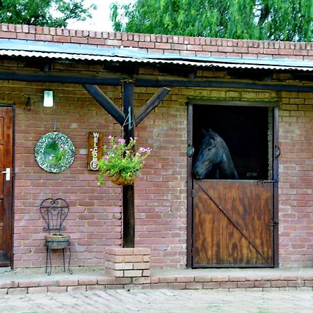 Owls Loft Guest House ミッドラント エクステリア 写真