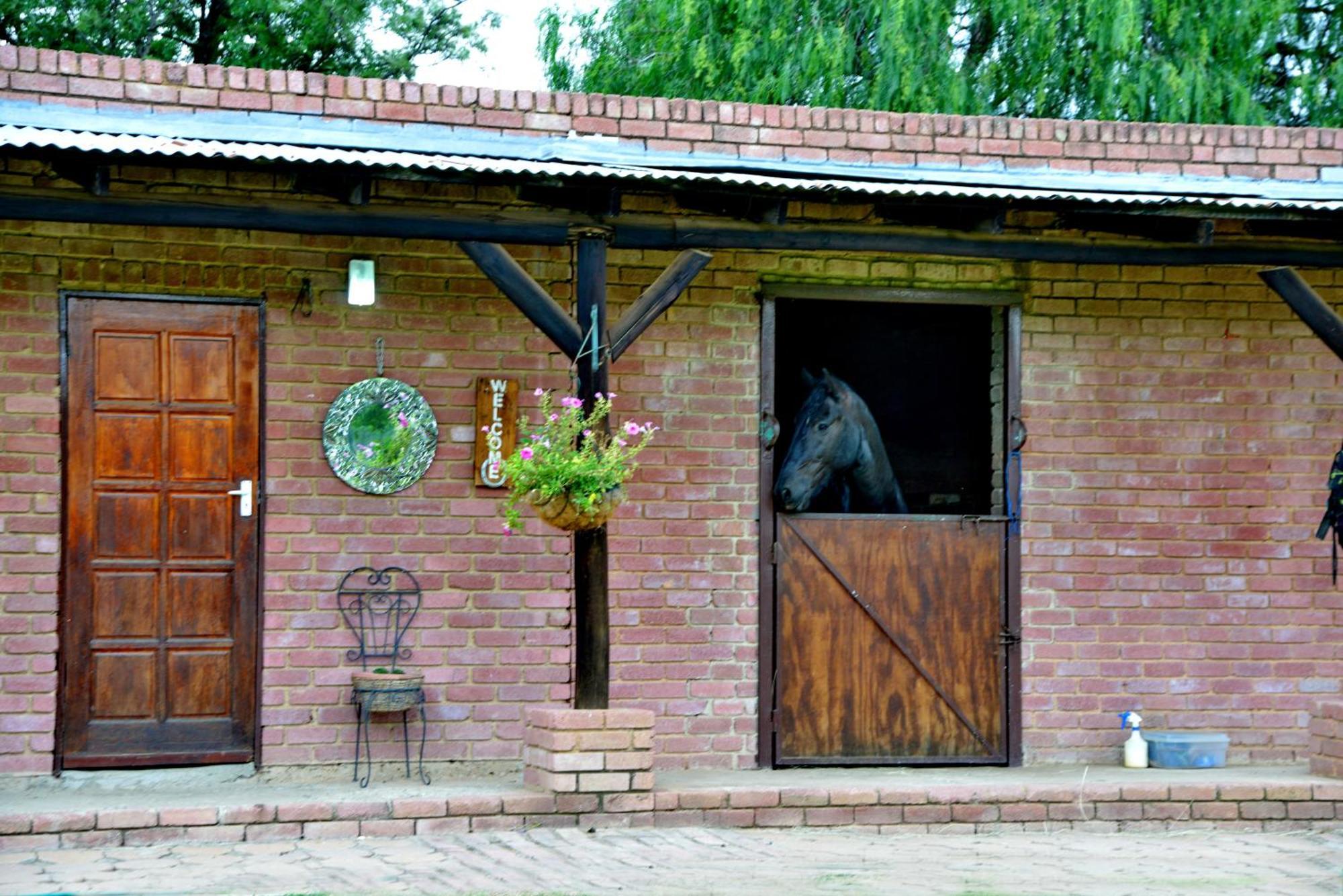 Owls Loft Guest House ミッドラント エクステリア 写真