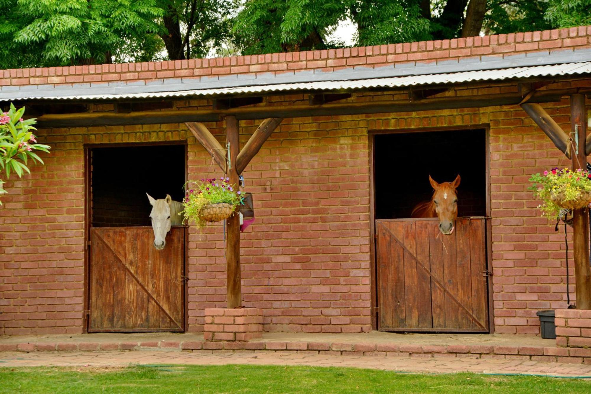 Owls Loft Guest House ミッドラント エクステリア 写真
